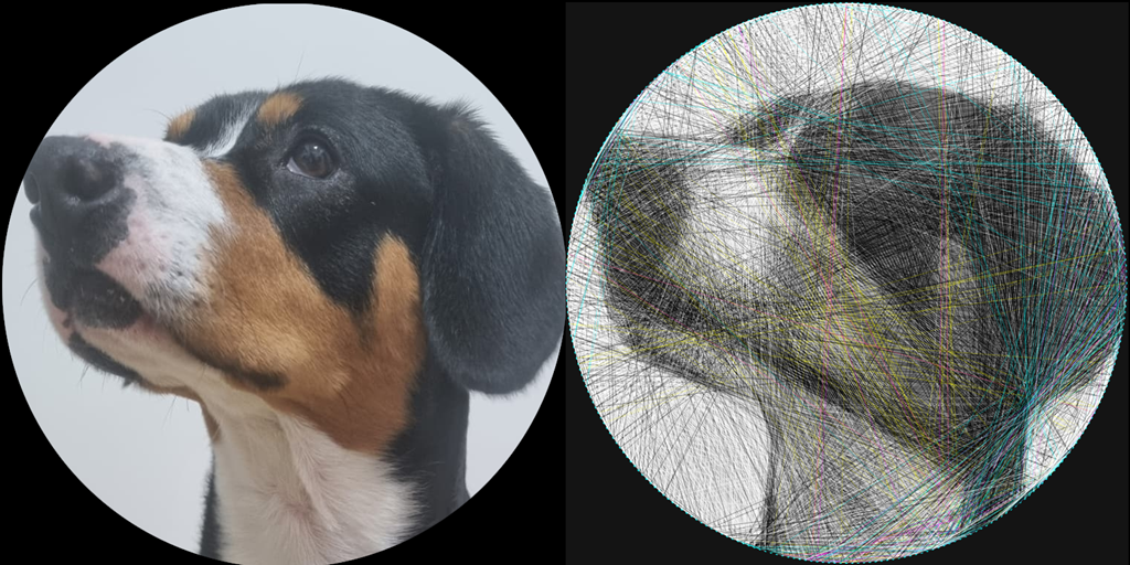links: Photo eines Entlebucher Sennenhund Names Pythagoras, recht: String Art von Pythy (Pythagoras)